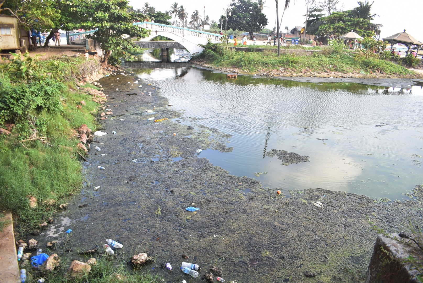 Polluted creek, poor maintenance  greet tourists at Colva beach
