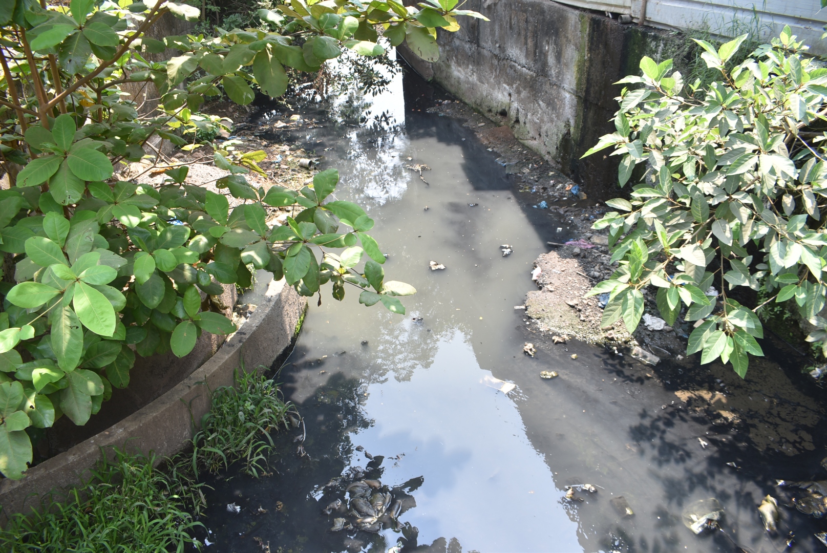 GSPCB confirms untreated sewage entering River Sal