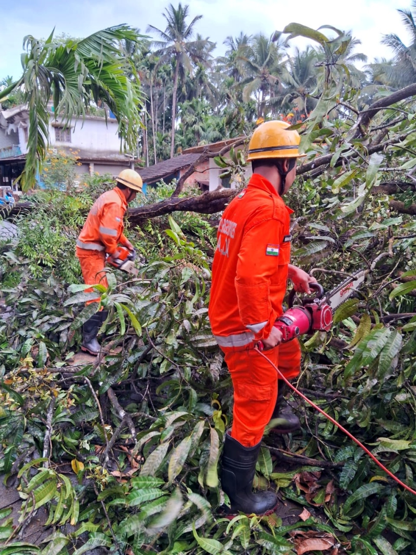 Strong winds in Sattari disrupt services and damage property