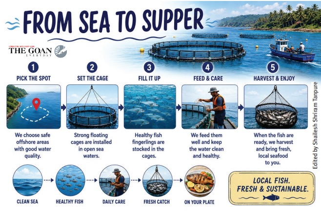 Fisheries Dept revives open-sea cage farming project, invites applications