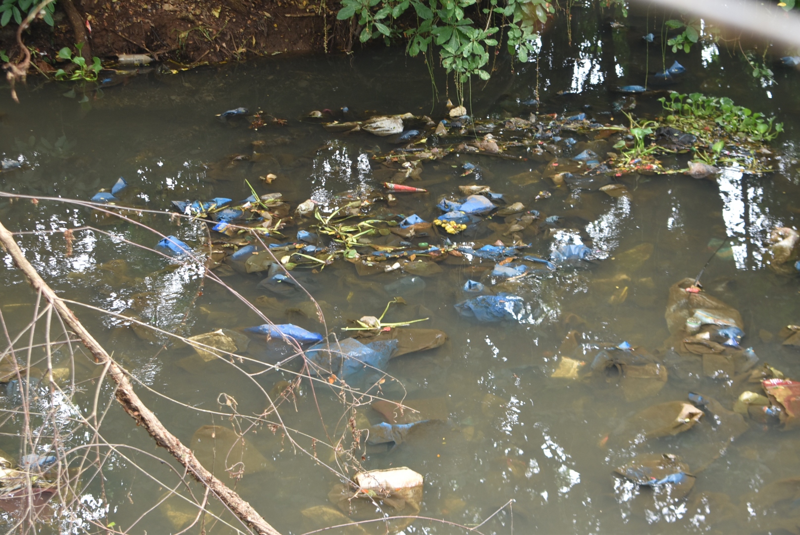 Monsoon to flush untreated waste into River Sal yet again