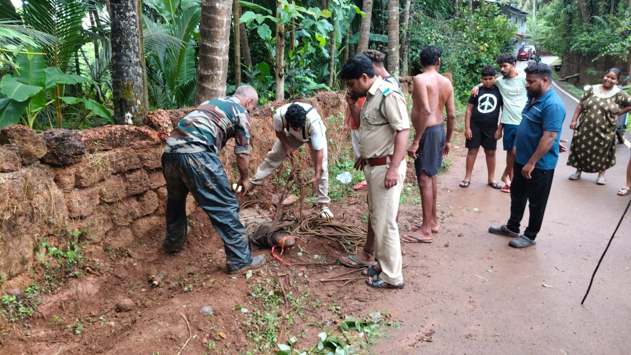 Panic in Balli as crocodile enters residential area