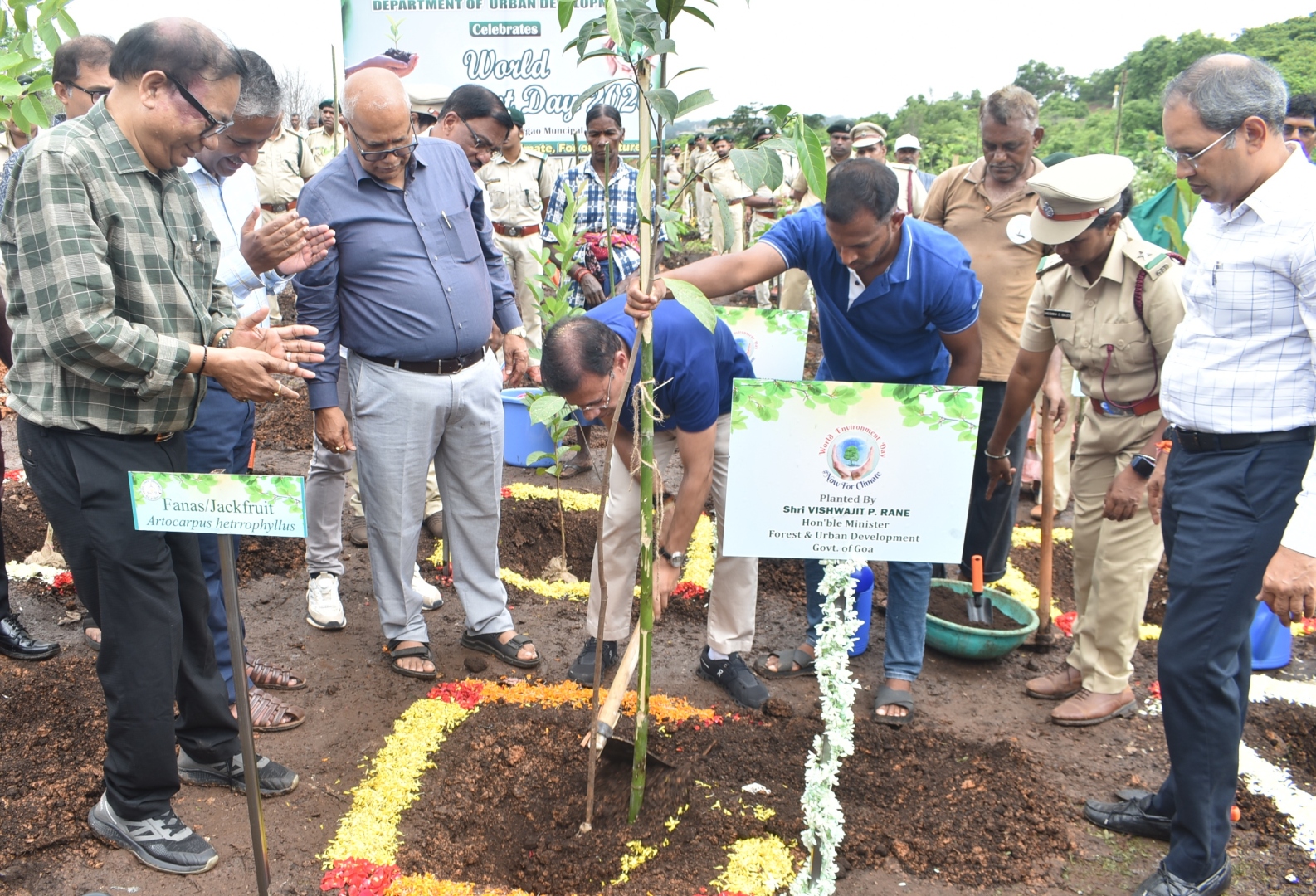 Sonsodo dump set for green makeover