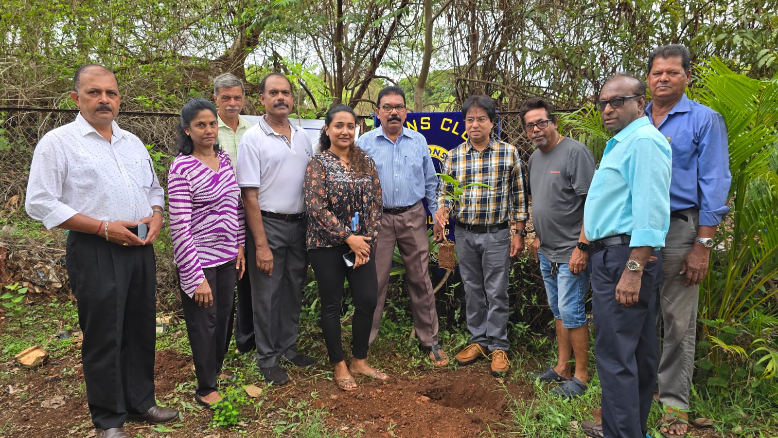 Plant trees, reduce plastic use to save environment, residents told