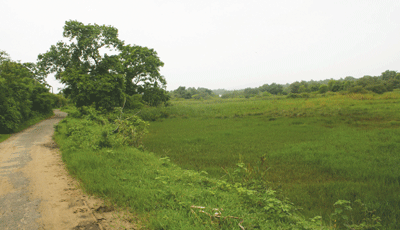 Carmona: living in hope