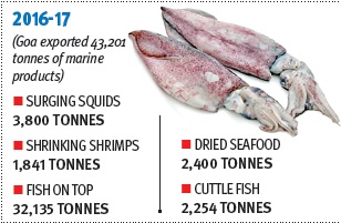 Squids score over shrimps in exports; fish leads the pack