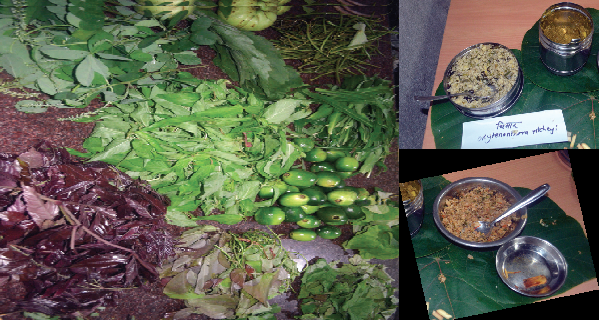 Wild vegetables on the platter