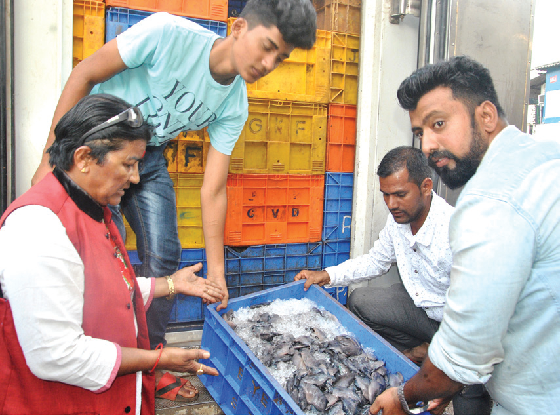 Stinking fish container truck raises hackles  of citizens