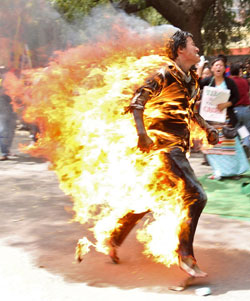 The fight for a free Tibet