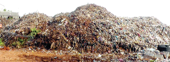 MMC’s ambitious plan for containerised mixed waste plants shot down by govt