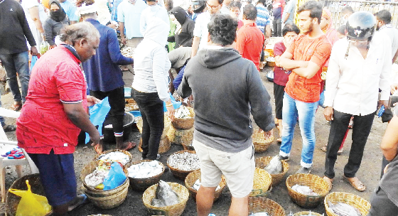 Fish sold at a premium in SGPDA markets