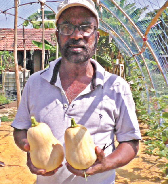 In times of crisis situation, this farm is a saving grace