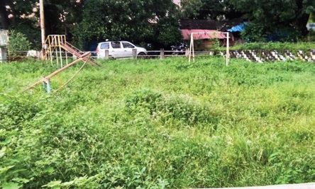 Blame it on non-repair of grass-cutting machines, Margao’s roadside full of grass