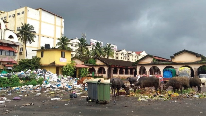 SGPDA to MMC: clear waste  from our market parking lot