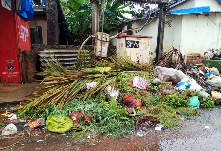 Power department irked as waste dumped near transformers