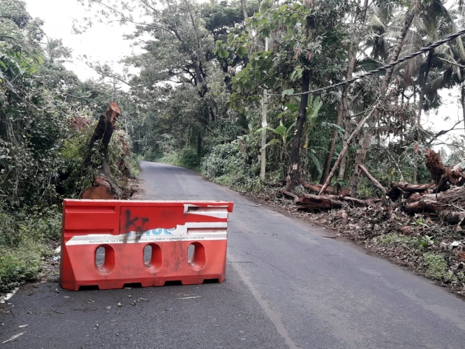 Uncleared tree trunk poses threat at Azossim