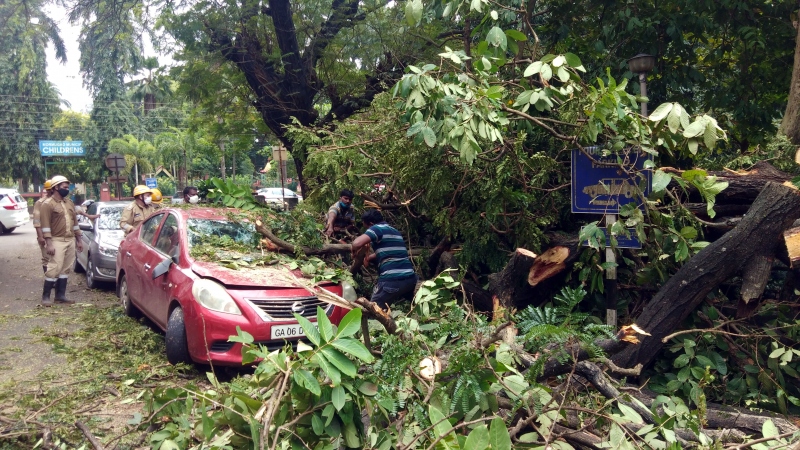 Large branch of tree falls on power pole, damages 3 parked cars in Vasco