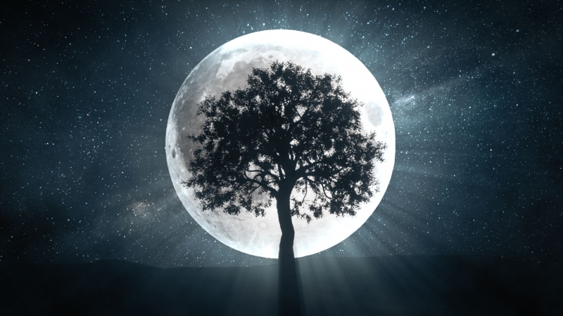 To the moon and beyond: What’s the point of going back to the moon?