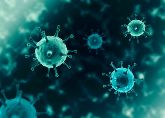 ﻿850,000 animal viruses lying in wait, unless we protect nature, warns UN