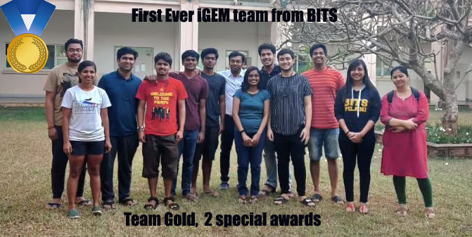 BITS Pilani Goa shines at   iGEM 2020, students win gold