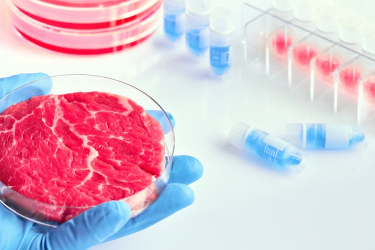 ﻿Lab-grown meat: Good news for animals?