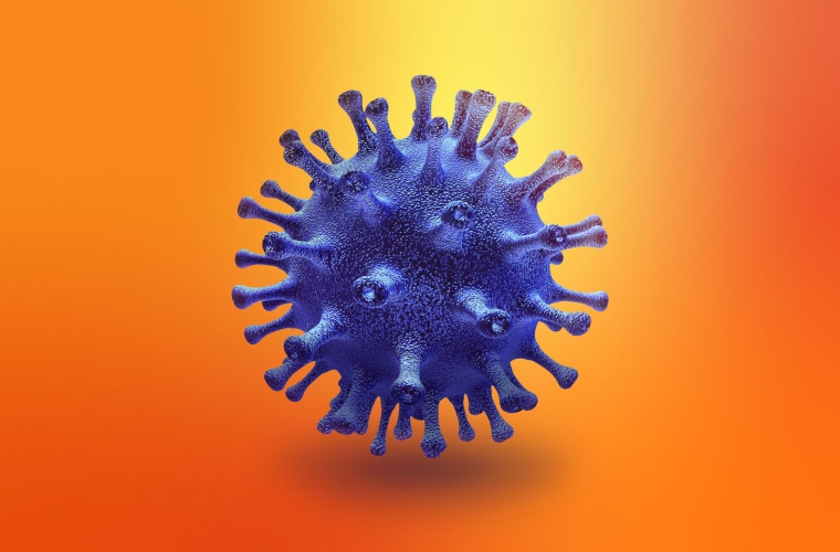 ﻿WHO's coronavirus origins report