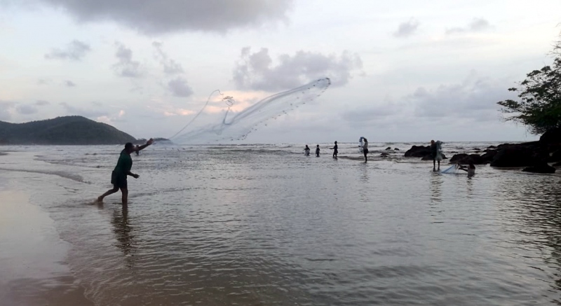 Traditional fishing comes alive on Canacona coast
