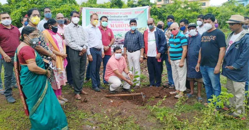 Plant trees and protect   our biodiversity, says  Board member secretary