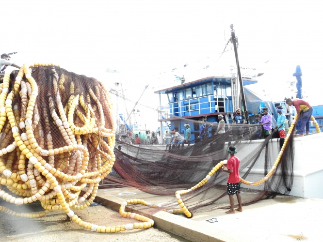 The Goan EveryDay: CUTBONA FISHING SEASON: HINGING ON MEN OF THE CATCH