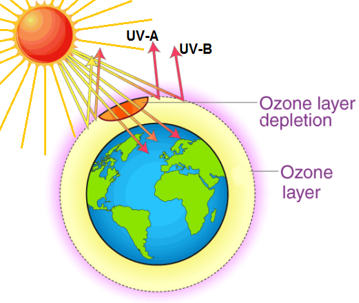 ﻿WORLD OZONE DAY: A call to protect the ozone layer