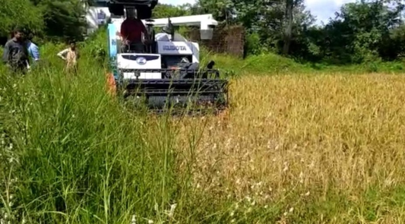 Harvester in Cuncolim fields: Crop-gathering season starts