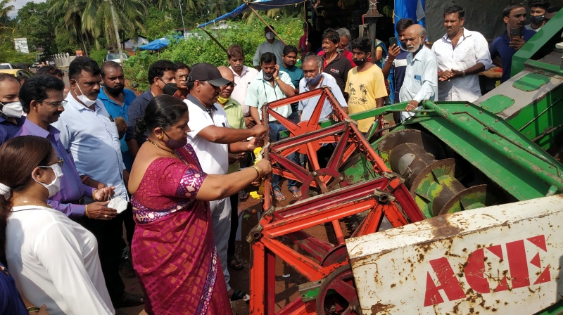 Gaushalas sought in all talukas   to tackle menace of stray cattle