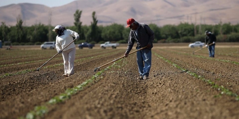 ﻿Climate change lowers nutrition & hikes toxicity at base of food web