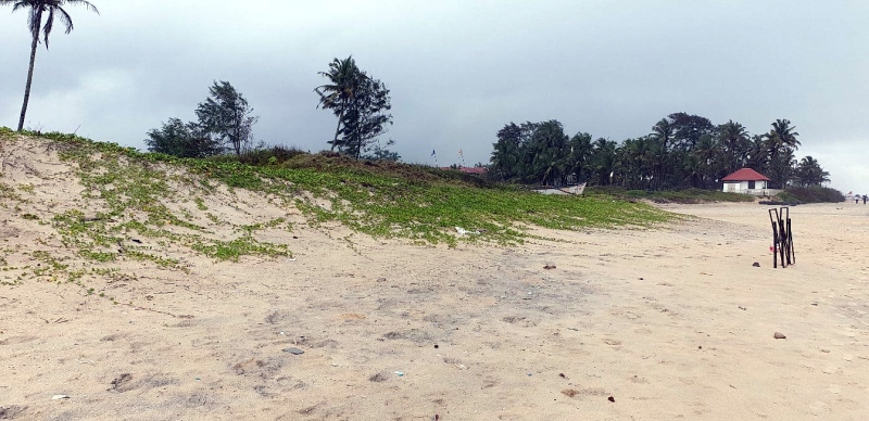 GCZMA experts seek sand dune management plan for survival