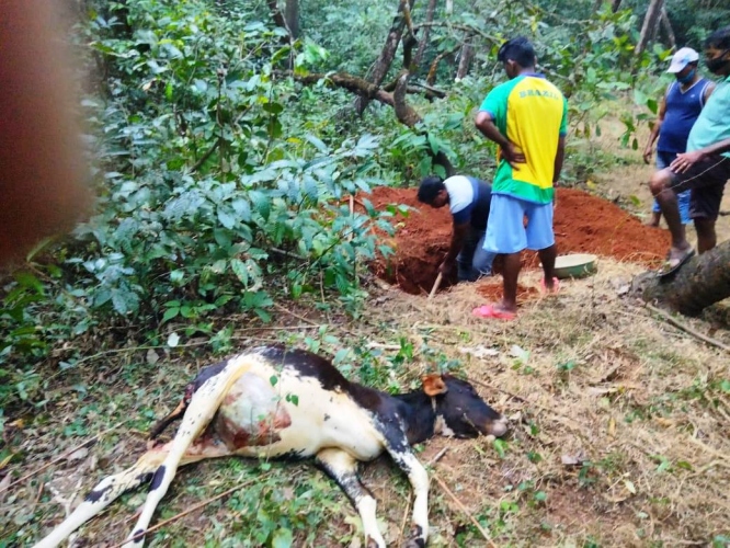 Leopard fear looms over Damon in Raia village