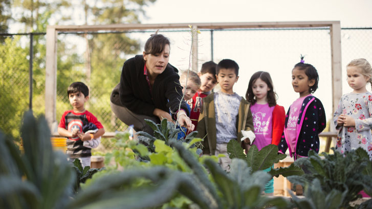 ﻿Why parents should allow kids to go for field trips