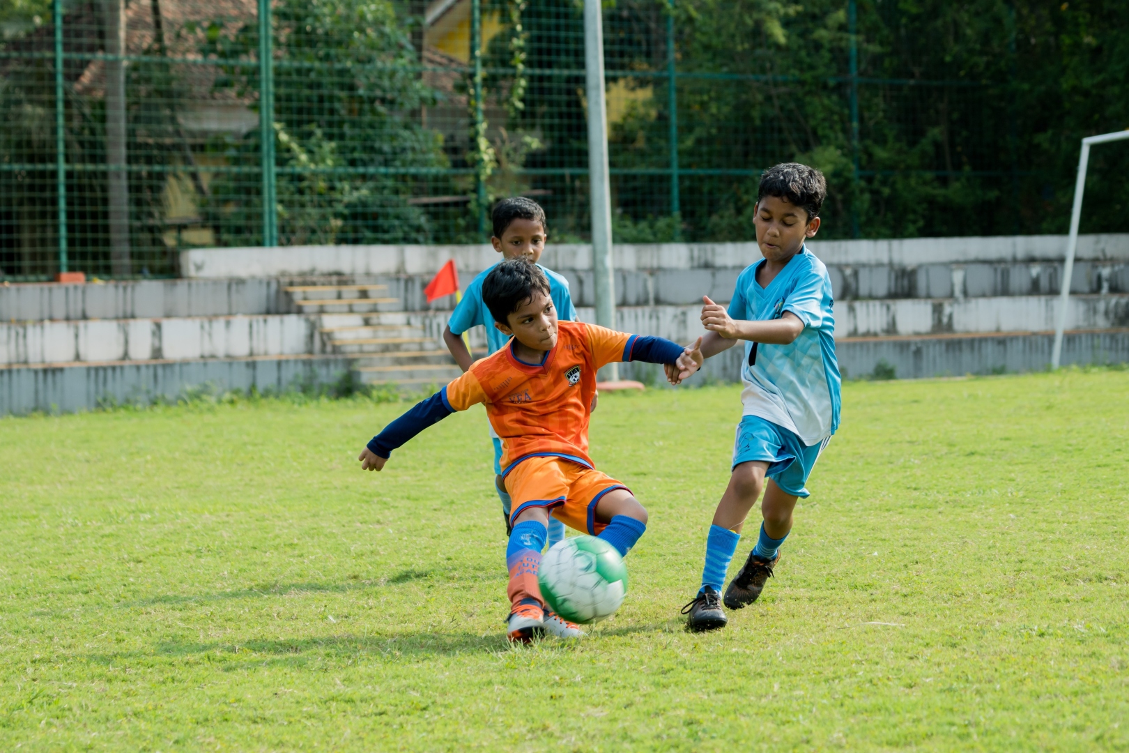 Little Gaurs League concludes