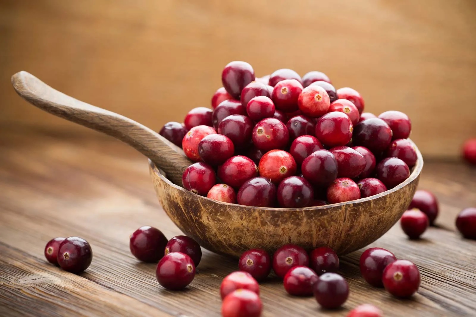 ﻿Consuming cranberries enhances memory, curbs bad cholesterol: Study