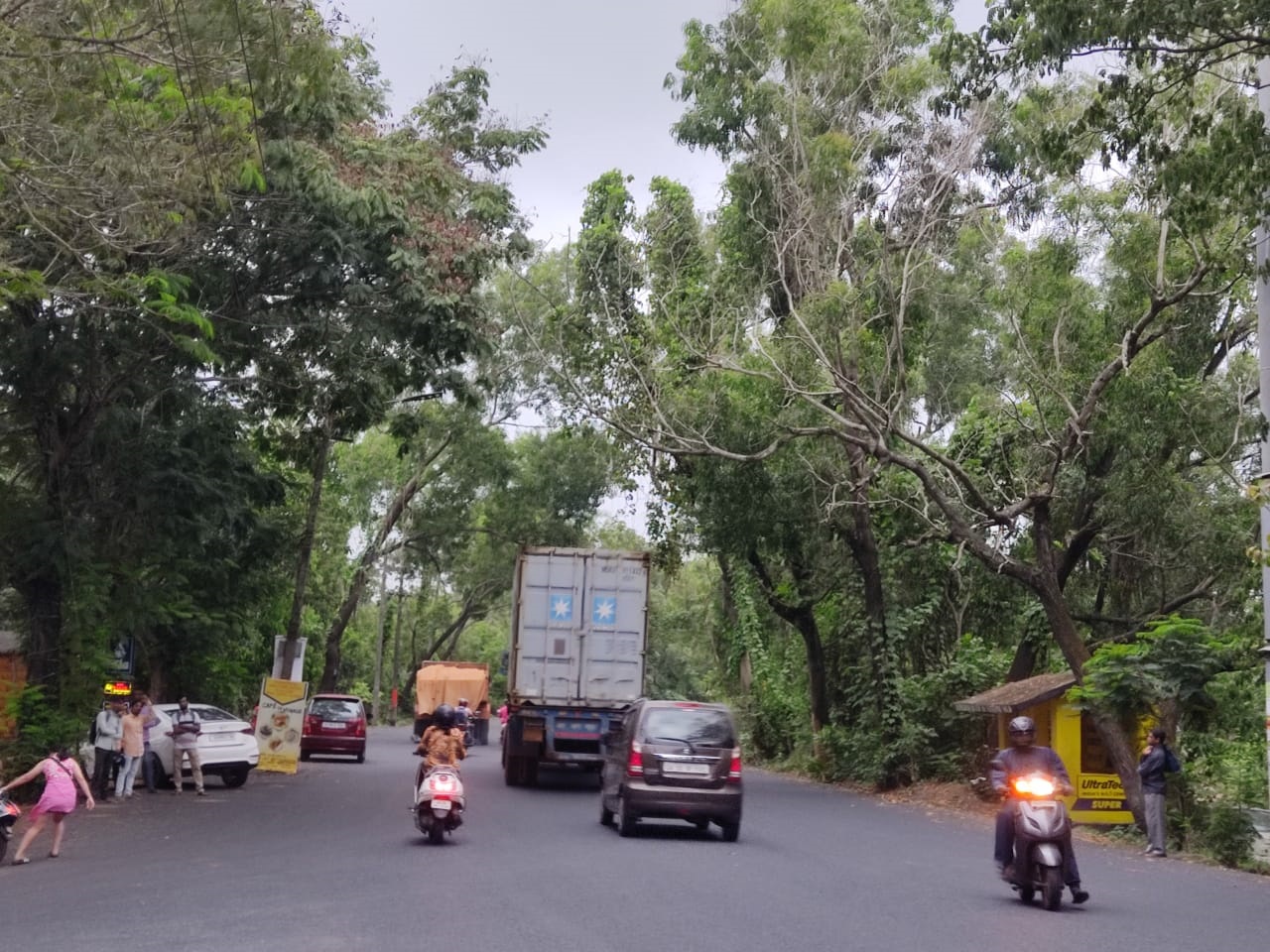 TRIMMING OF TREES: DEPARTMENTS PASS BUCK