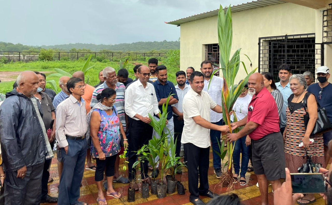 Grow trees if vacant space around houses: Saligao MLA