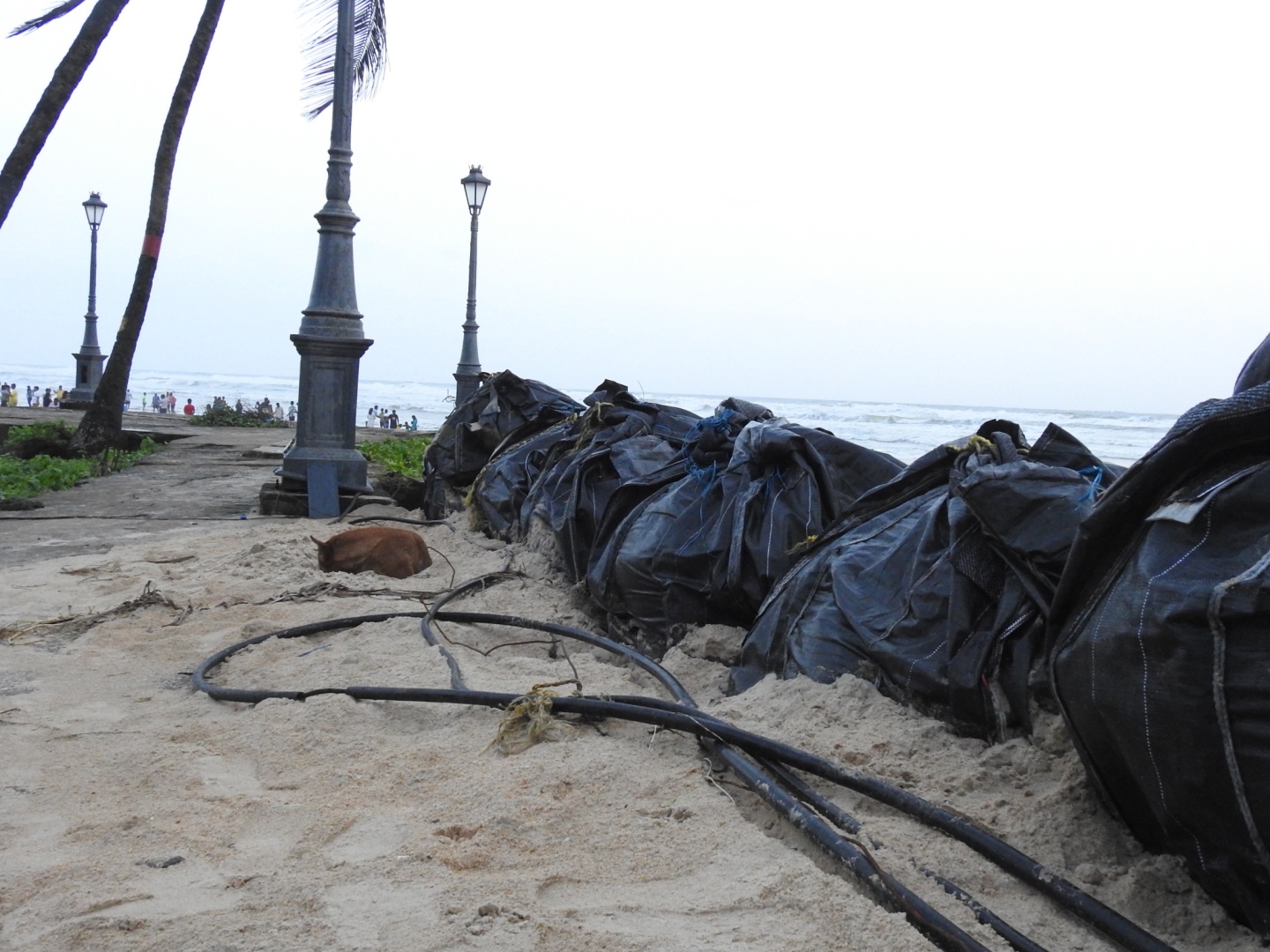 Tourist electrocution: One month on, Colva police yet to make any headway into probe