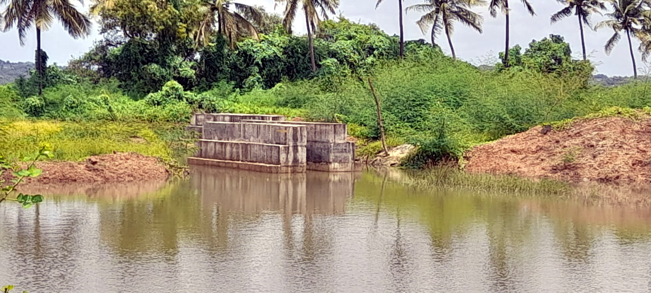 Fisheries Dept begins work on renovation   of estuarine fish farm at Ela Dhauji
