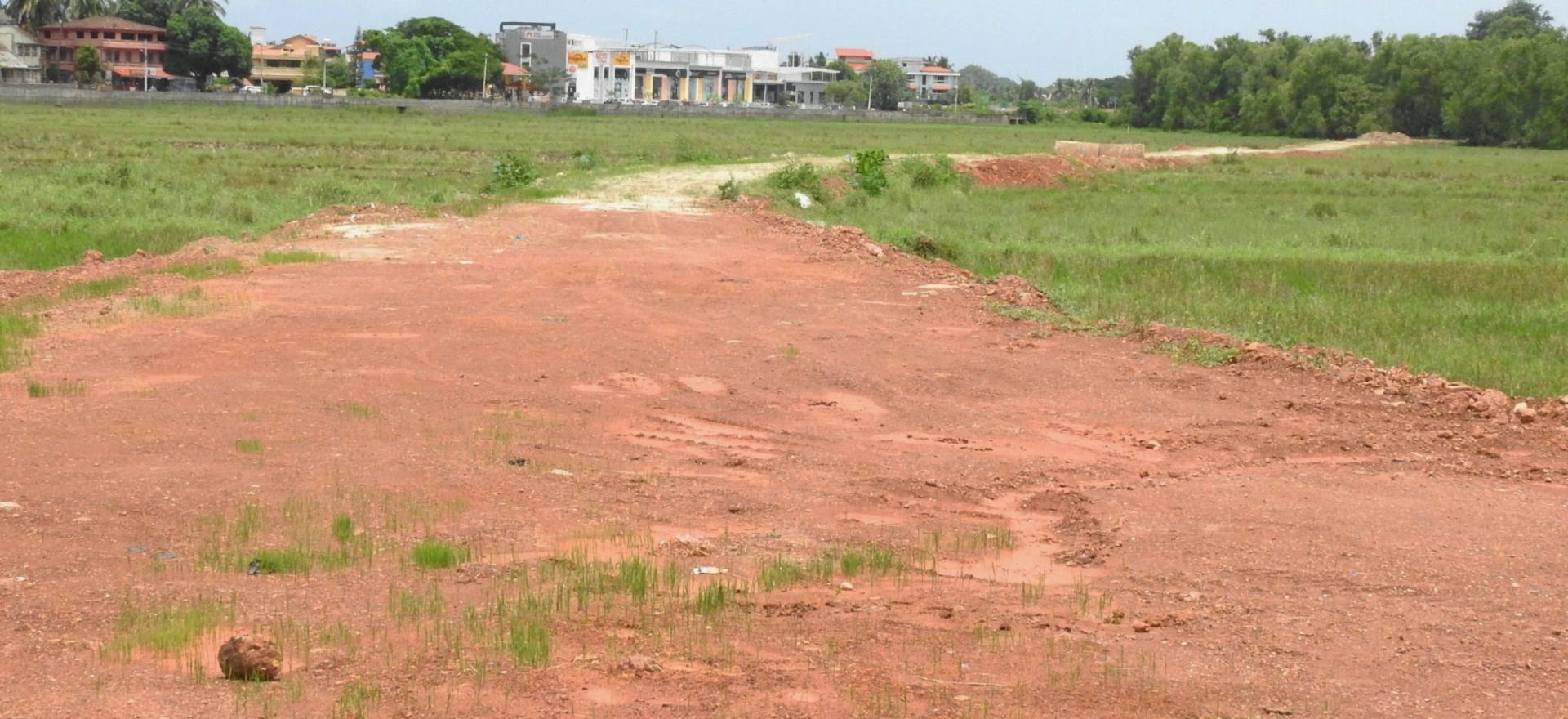 Benaulikars to pursue demand for construction of bypass on stilts