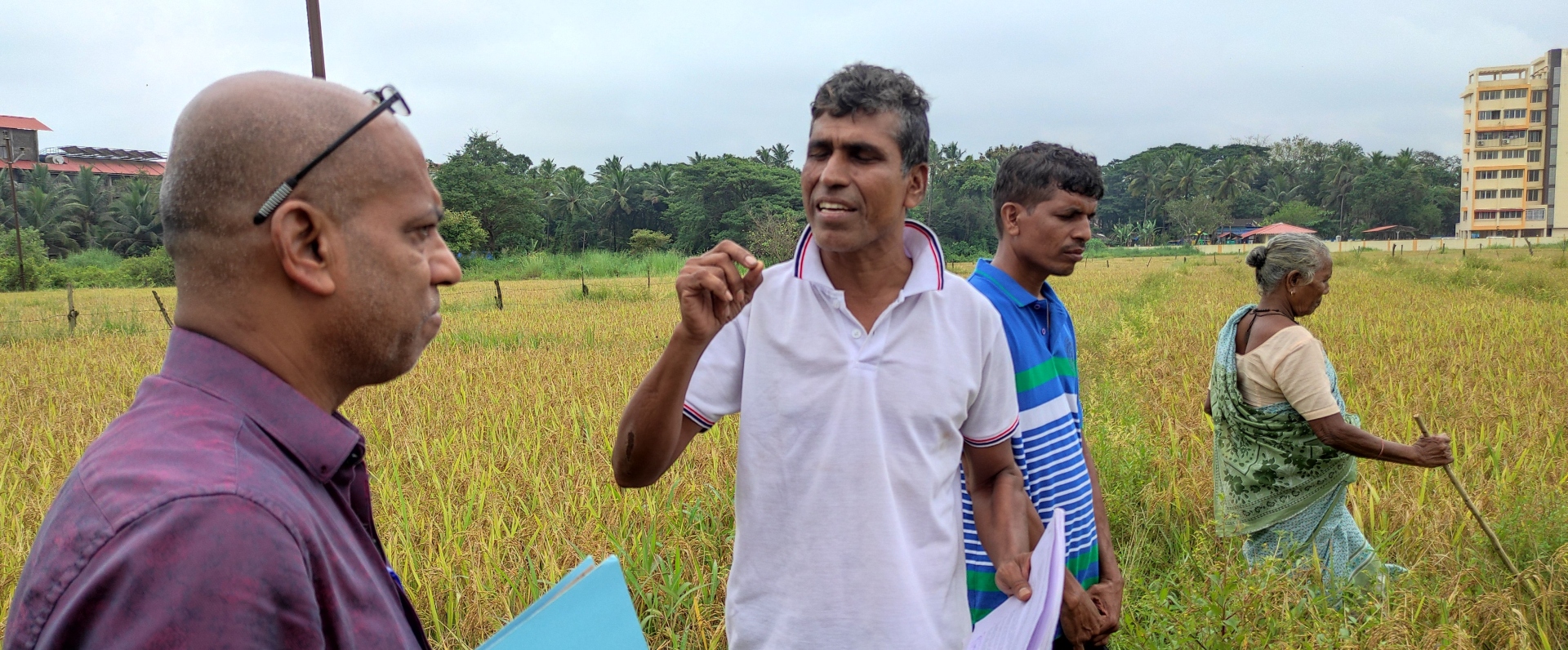 Rawanfond farmers keep fingers crossed as SGPDA official inspects cultivated fields