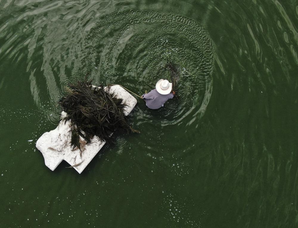 ﻿In Mexico, locals try to save traditional ‘Mexican caviar’