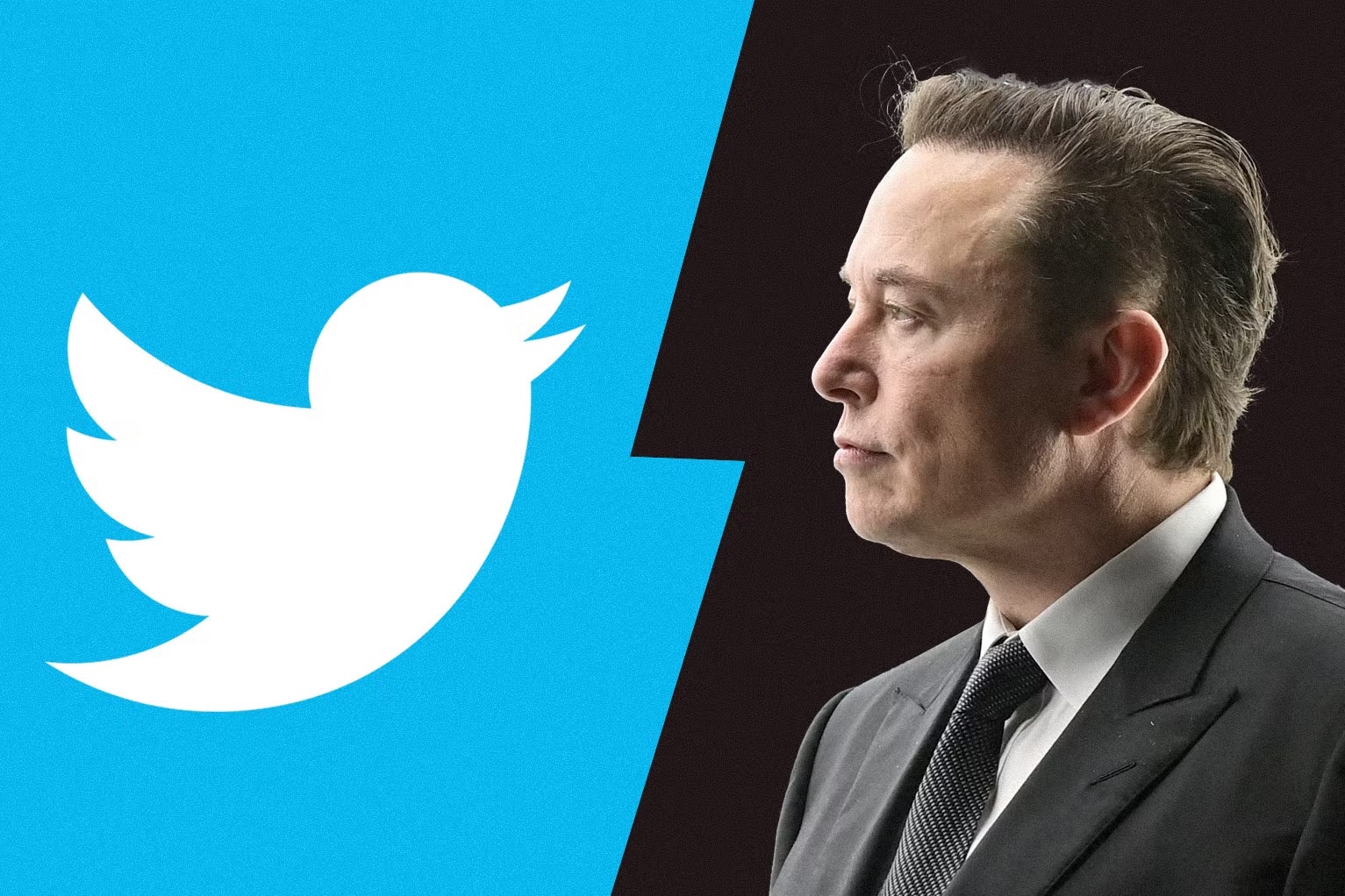﻿Twitter’s blue checkmark: Vital verification or status symbol?