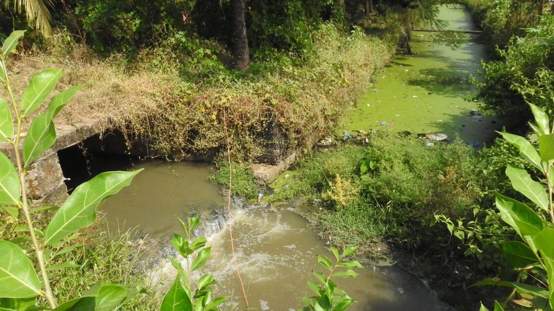INSPECTION EXPOSES ‘DARK SIDE’ OF SAL