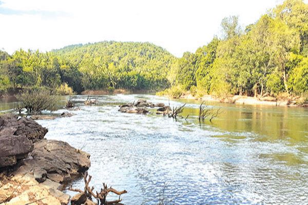 ﻿Mhadei river diversion: A call for action