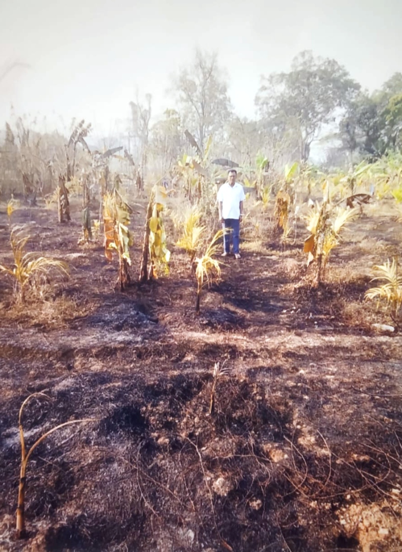 Fire breaks out on Sanguem   hill -- site of failed govt IIT