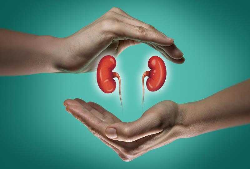 ﻿Kidneys are precious, take care of them...